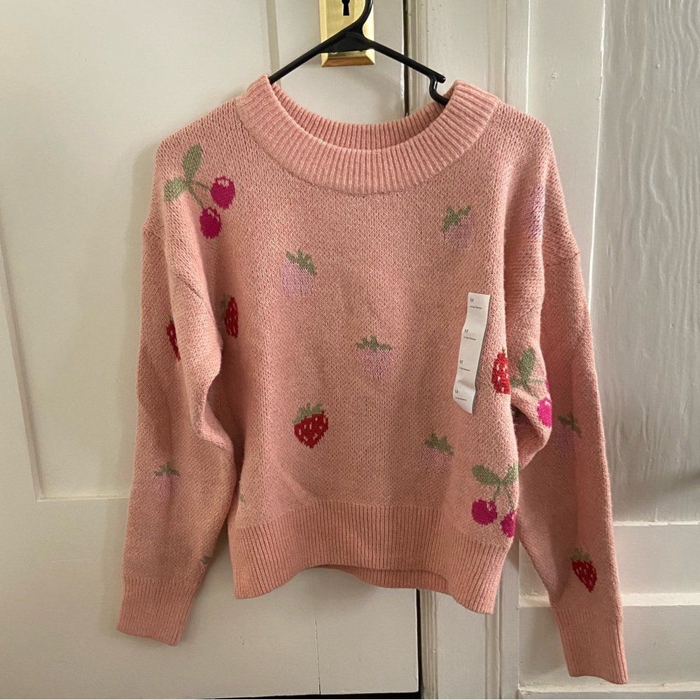 NWT Wild Fable Pink Fruit Intarsia Sweater